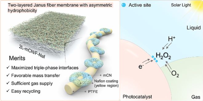 leyu手机版登录入口楼雄文栾德艳JACS：不对称疏水性Janus纤维膜上三相光(图1)