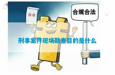 leyu乐鱼刑事案件现场勘查目的是什么(图3)