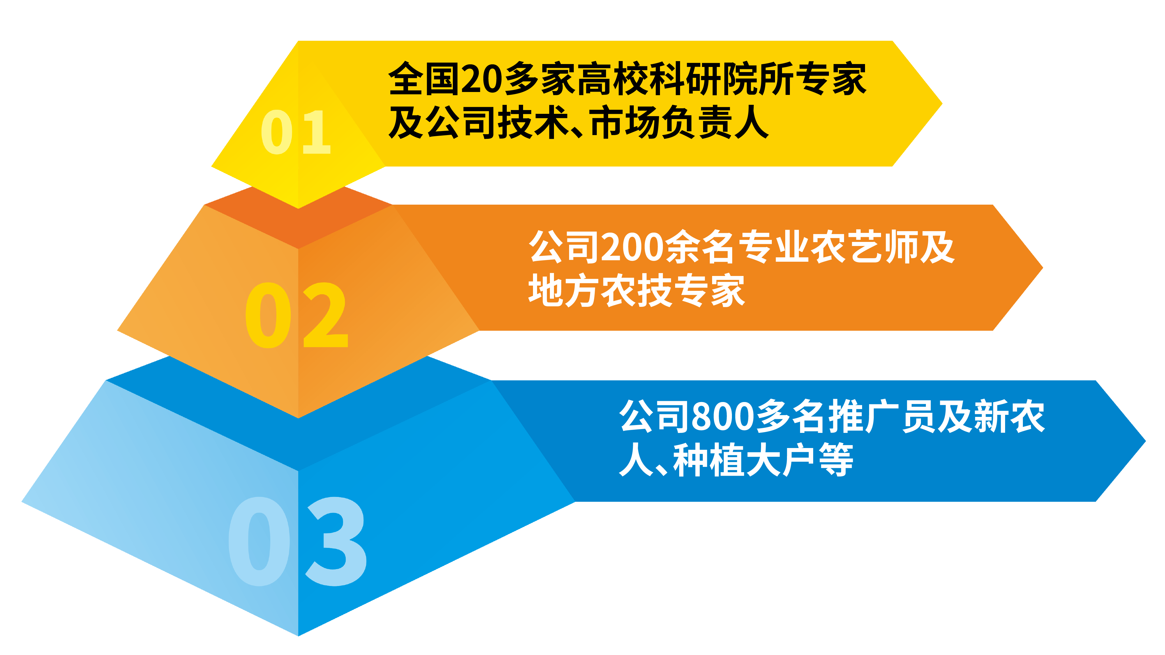 leyu乐鱼手机版官网新洋丰：高举创新大旗引领行业发展(图9)