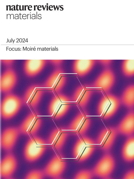 leyu手机版登录入口【聚焦科研热点】电池材料科学：前沿探索与创新实践——能源存(图9)