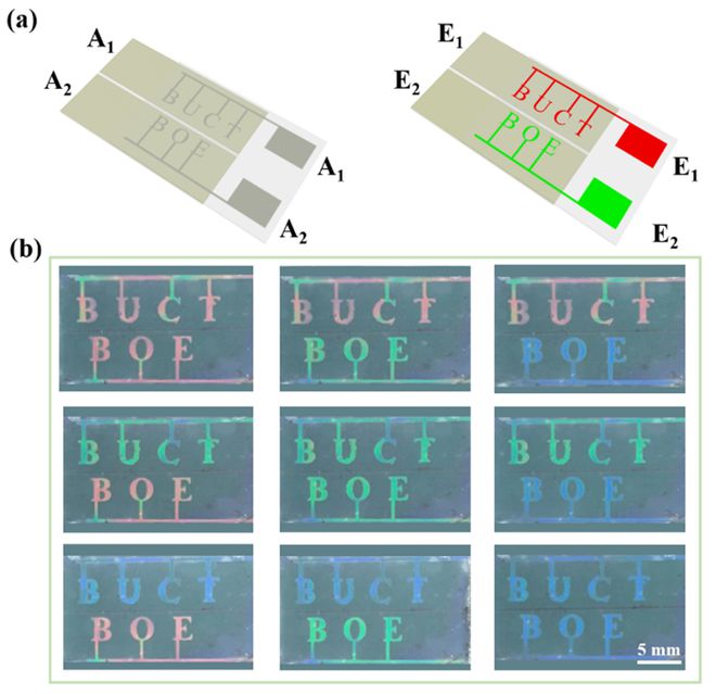 leyu手机版登录入口北京化工大学郭金宝教授课题组《AFM》：基于电控倾斜螺旋胆(图3)